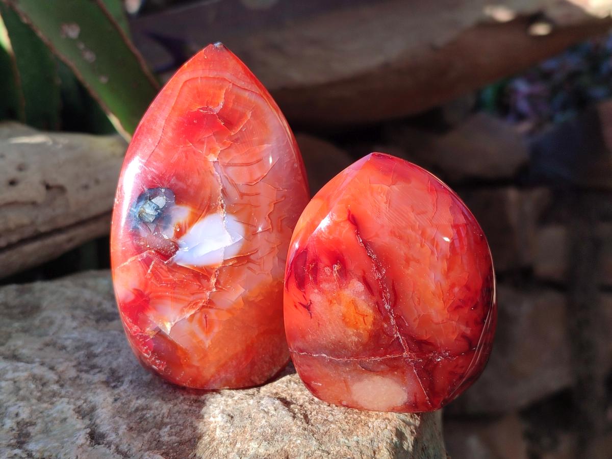 Polished Carnelian Agate Gemstone Flames x 6 From Madagascar - Toprock Gemstones and Minerals 