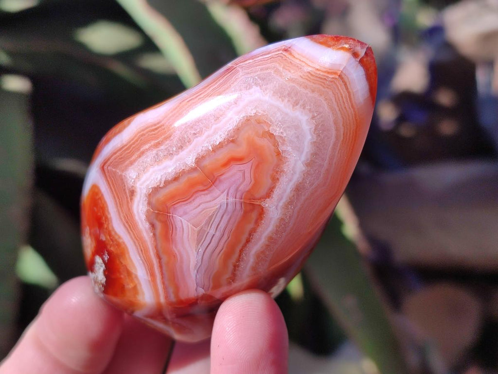 Polished Carnelian Agate Gemstone Flames x 6 From Madagascar - Toprock Gemstones and Minerals 