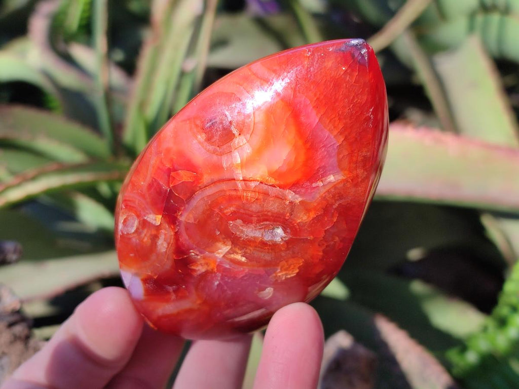 Polished Carnelian Agate Gemstone Flames x 6 From Madagascar - Toprock Gemstones and Minerals 