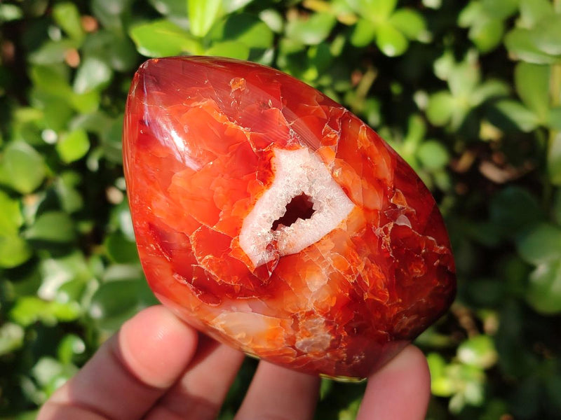 Polished Carnelian Agate Gemstone Flames x 6 From Madagascar - Toprock Gemstones and Minerals 