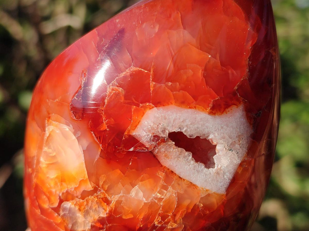 Polished Carnelian Agate Gemstone Flames x 6 From Madagascar - Toprock Gemstones and Minerals 