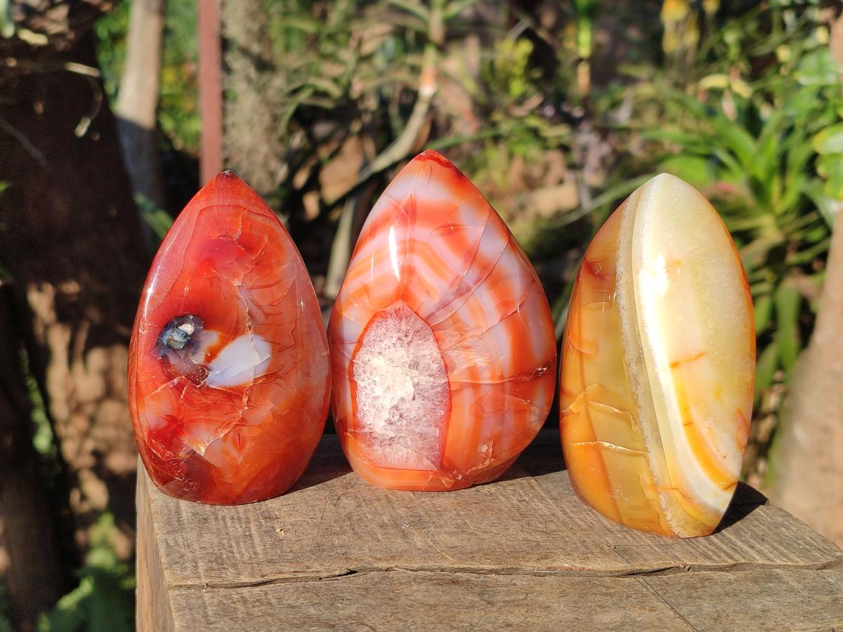 Polished Carnelian Agate Gemstone Flames x 6 From Madagascar - Toprock Gemstones and Minerals 