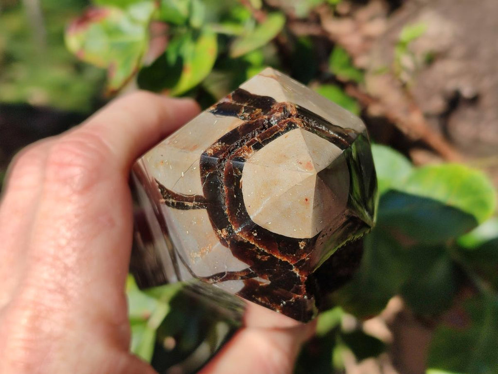 Polished Septerye Sauvage Display Crystals x 2 From Mahajanga, Madagascar - Toprock Gemstones and Minerals 