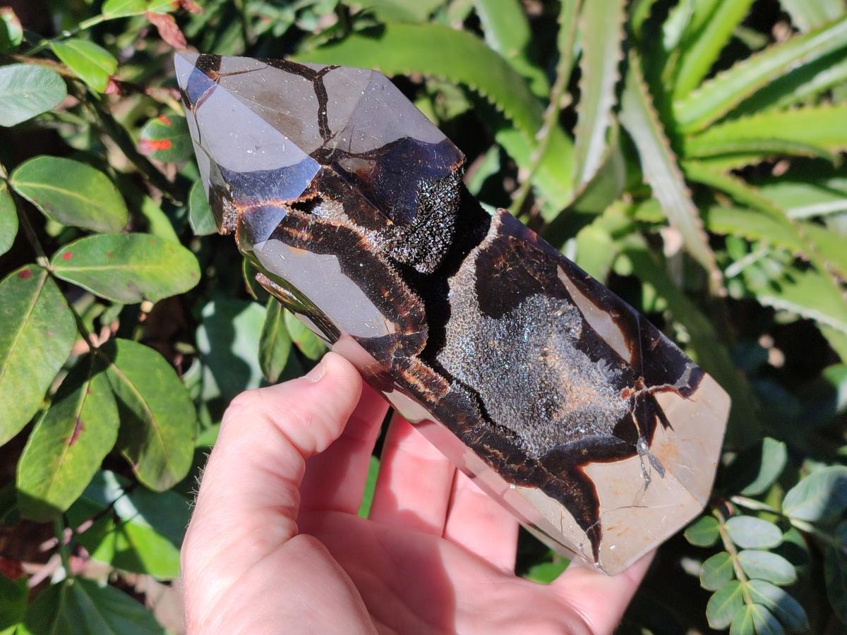 Polished Septerye Sauvage Display Crystals x 2 From Mahajanga, Madagascar - Toprock Gemstones and Minerals 