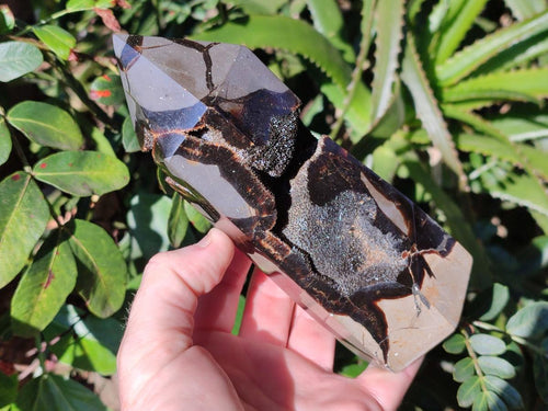 Polished Septerye Sauvage Display Crystals x 2 From Mahajanga, Madagascar - Toprock Gemstones and Minerals 