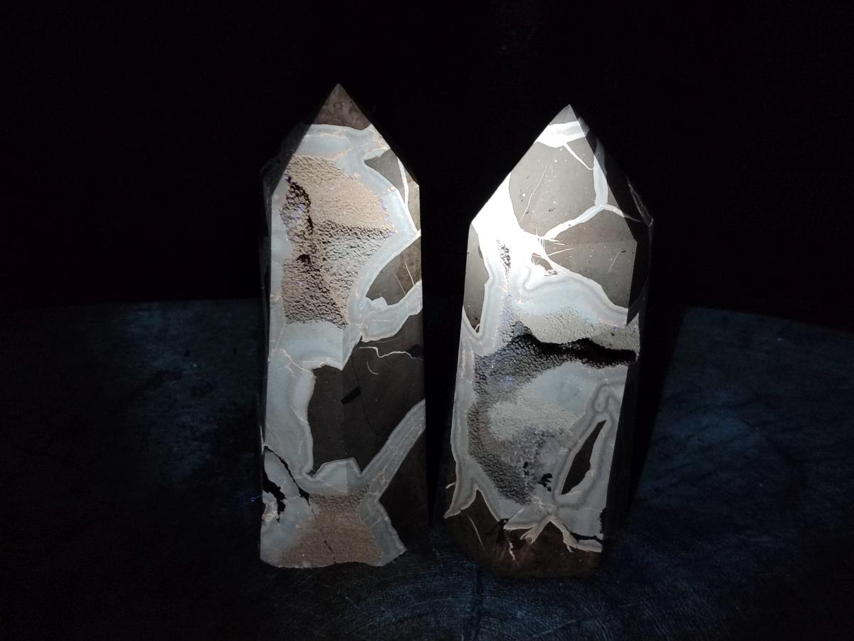 Polished Septerye Sauvage Display Crystals x 2 From Mahajanga, Madagascar - Toprock Gemstones and Minerals 