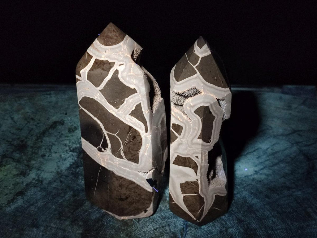 Polished Septerye Sauvage Display Crystals x 2 From Mahajanga, Madagascar - Toprock Gemstones and Minerals 