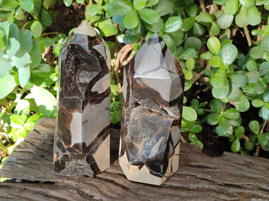 Polished Septerye Sauvage Display Crystals x 2 From Mahajanga, Madagascar - Toprock Gemstones and Minerals 