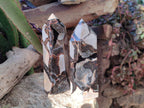 Polished Septerye Sauvage Display Crystals x 2 From Mahajanga, Madagascar - Toprock Gemstones and Minerals 