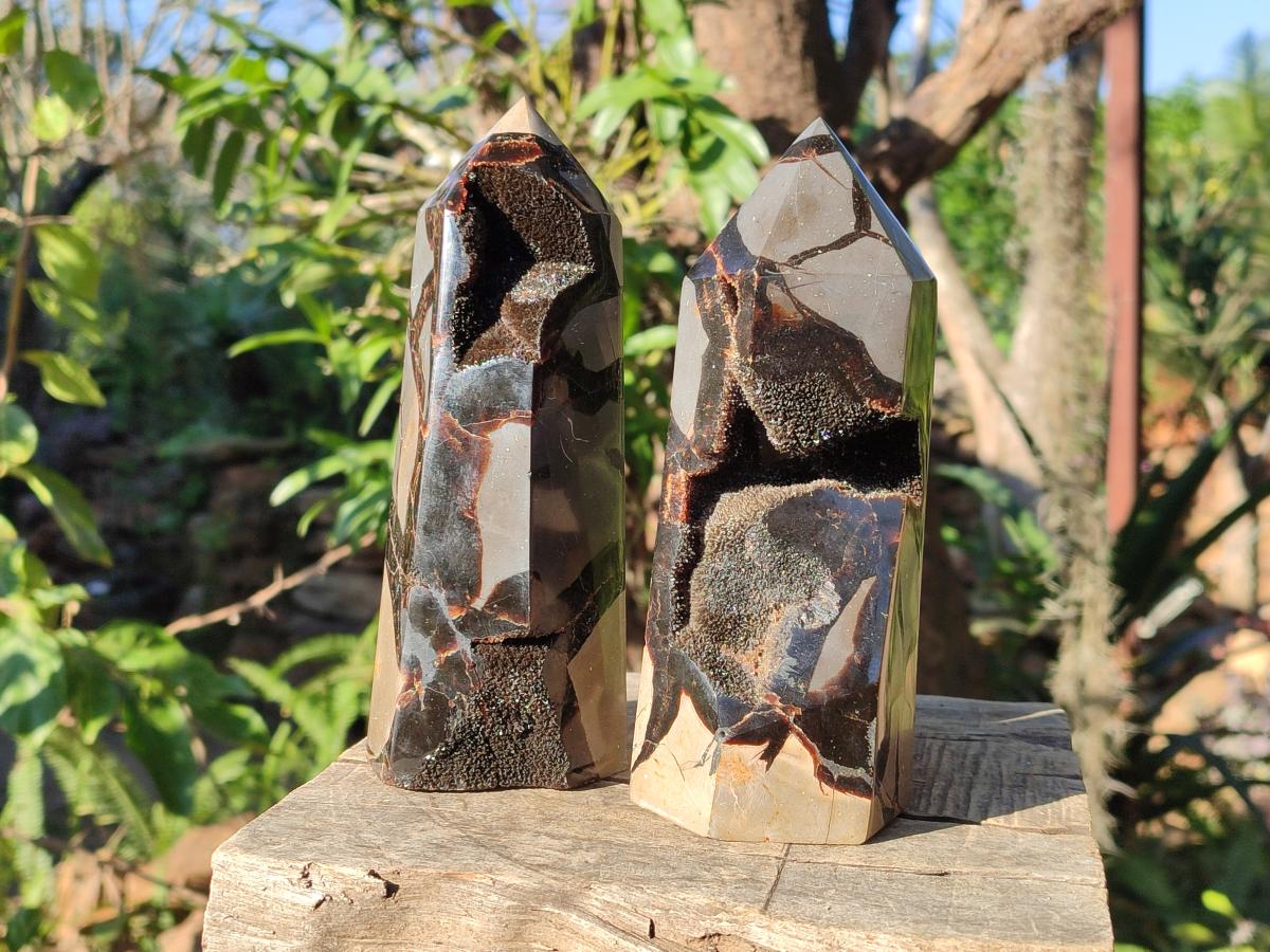 Polished Septerye Sauvage Display Crystals x 2 From Mahajanga, Madagascar - Toprock Gemstones and Minerals 