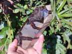 Polished Septerye Sauvage Display Crystals x 2 From Mahajanga, Madagascar - Toprock Gemstones and Minerals 