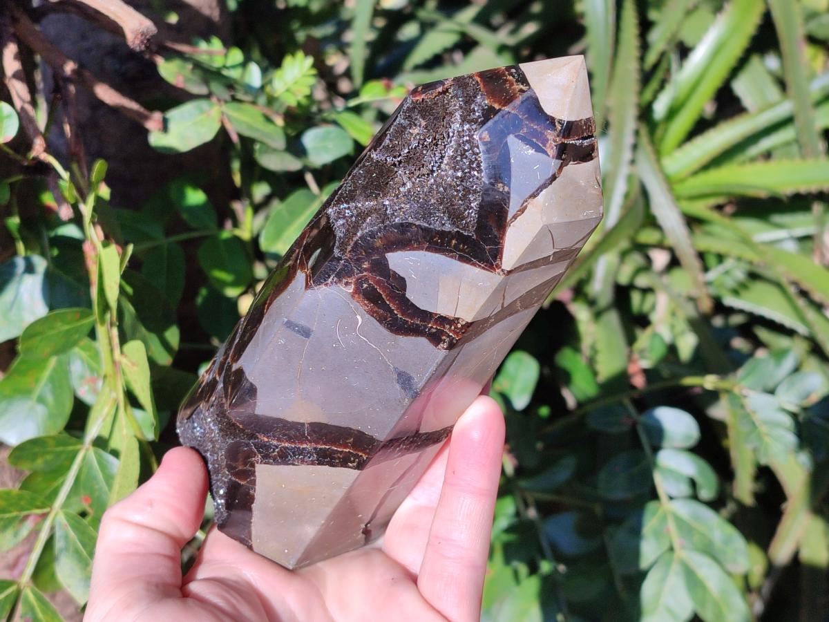Polished Septerye Sauvage Display Crystals x 2 From Mahajanga, Madagascar - Toprock Gemstones and Minerals 