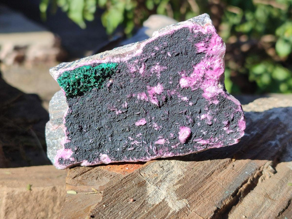 Natural Salrose Cobaltoan Dolomite Specimens with Malachite and Heterogenite x 12 From Kakanda, Congo - Toprock Gemstones and Minerals 