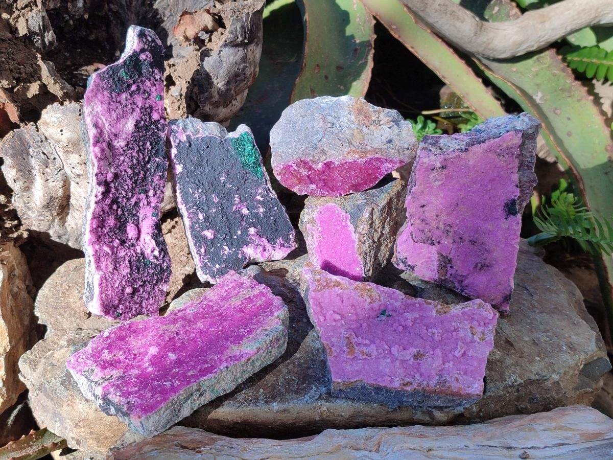 Natural Salrose Cobaltoan Dolomite Specimens with Malachite and Heterogenite x 12 From Kakanda, Congo - Toprock Gemstones and Minerals 