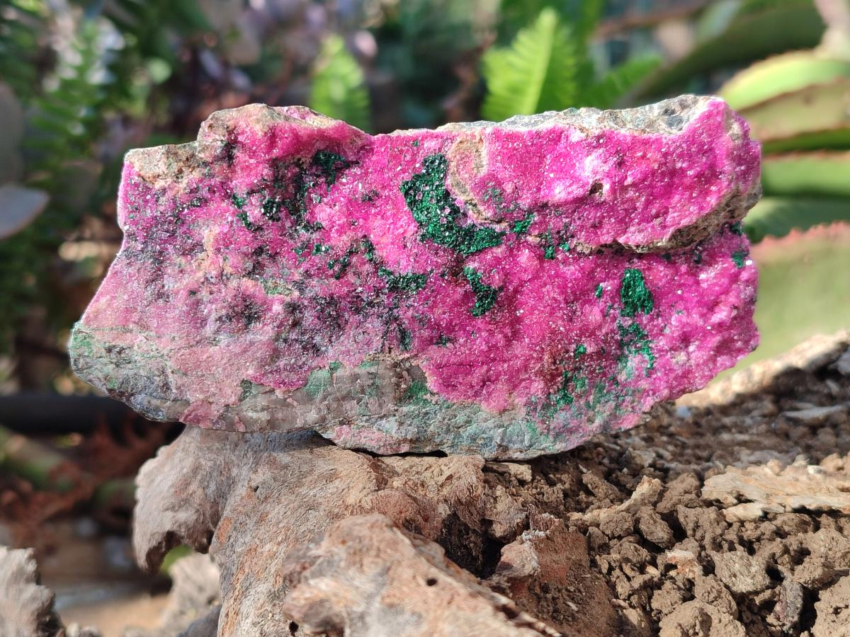 Natural Salrose Cobaltoan Dolomite Specimens with Malachite and Heterogenite x 12 From Kakanda, Congo - Toprock Gemstones and Minerals 