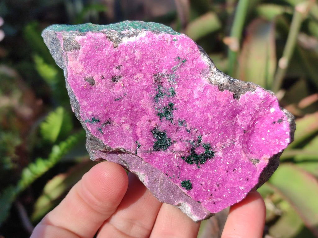 Natural Salrose Cobaltoan Dolomite Specimens with Malachite and Heterogenite x 12 From Kakanda, Congo - Toprock Gemstones and Minerals 