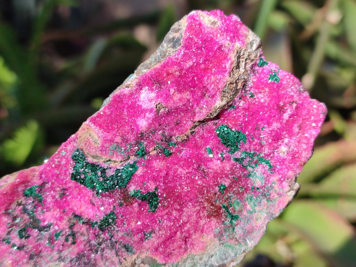 Natural Salrose Cobaltoan Dolomite Specimens with Malachite and Heterogenite x 12 From Kakanda, Congo - Toprock Gemstones and Minerals 