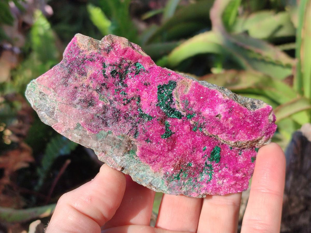 Natural Salrose Cobaltoan Dolomite Specimens with Malachite and Heterogenite x 12 From Kakanda, Congo - Toprock Gemstones and Minerals 