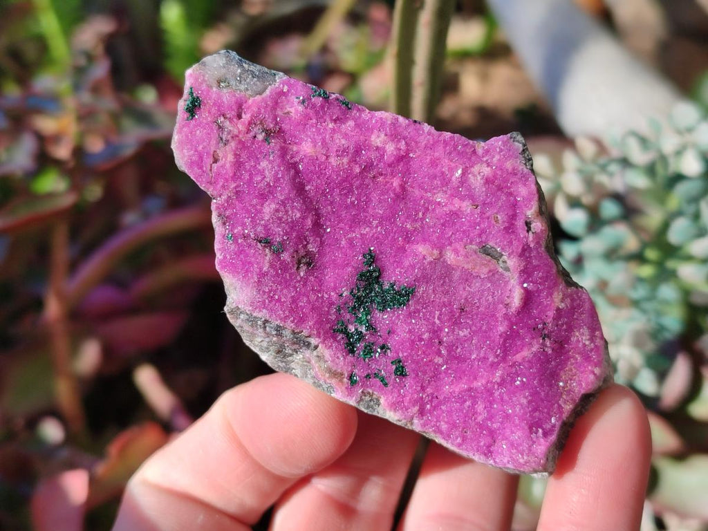 Natural Salrose Cobaltoan Dolomite Specimens with Malachite and Heterogenite x 12 From Kakanda, Congo - Toprock Gemstones and Minerals 