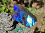 Polished One Side Labradorite Slices x 35 From Madagascar - Toprock Gemstones and Minerals 