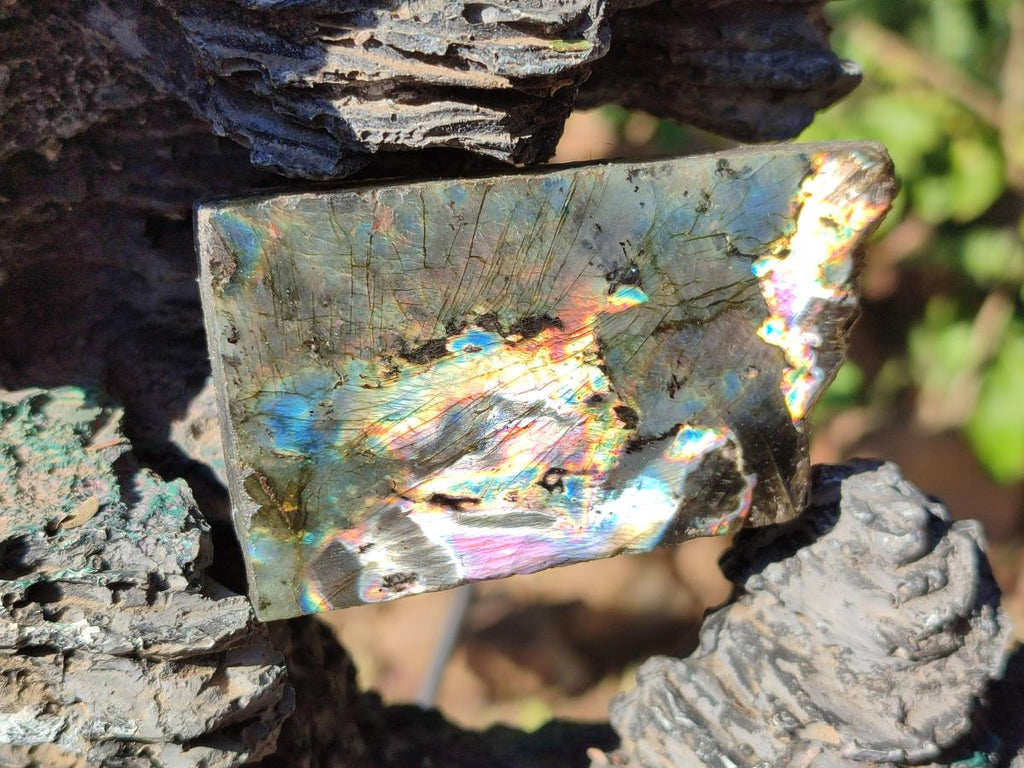 Polished One Side Labradorite Slices x 35 From Madagascar - Toprock Gemstones and Minerals 