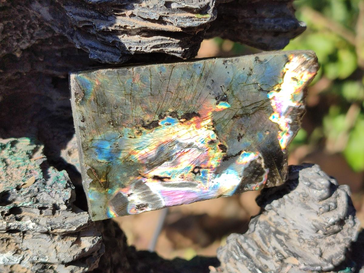 Polished One Side Labradorite Slices x 35 From Madagascar - Toprock Gemstones and Minerals 