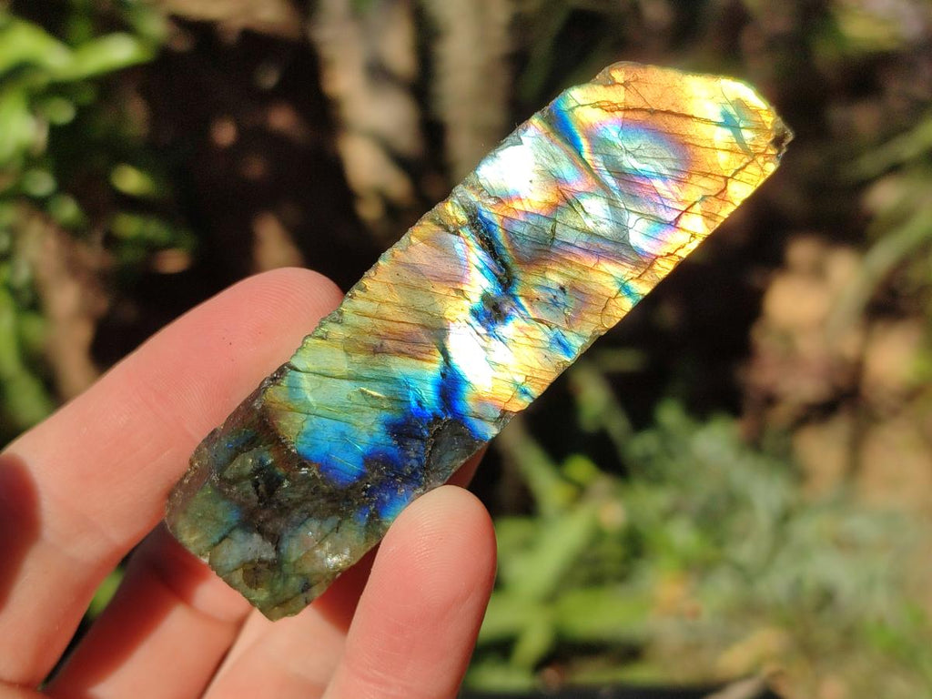 Polished One Side Labradorite Slices x 35 From Madagascar - Toprock Gemstones and Minerals 