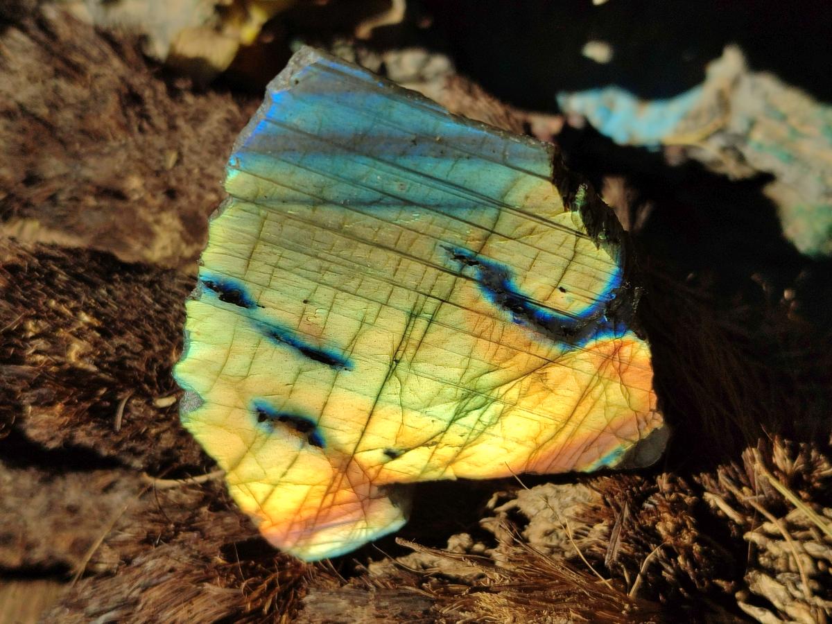 Polished One Side Labradorite Slices x 35 From Madagascar - Toprock Gemstones and Minerals 