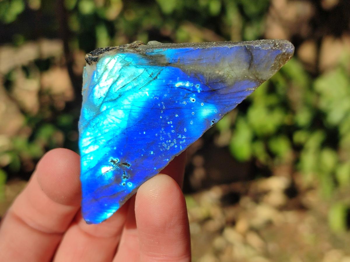 Polished One Side Labradorite Slices x 35 From Madagascar - Toprock Gemstones and Minerals 