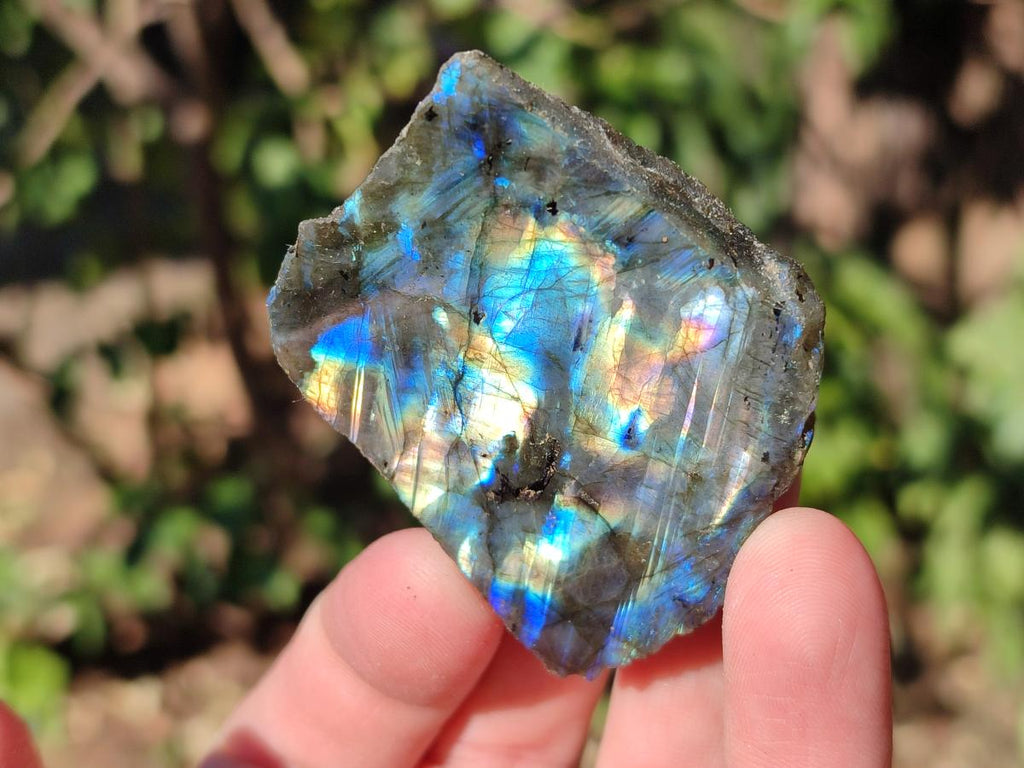 Polished One Side Labradorite Slices x 35 From Madagascar - Toprock Gemstones and Minerals 