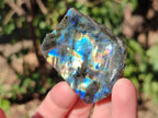 Polished One Side Labradorite Slices x 35 From Madagascar - Toprock Gemstones and Minerals 