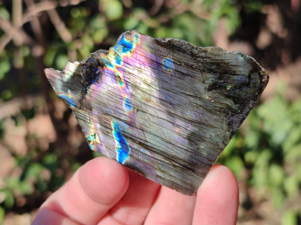 Polished One Side Labradorite Slices x 35 From Madagascar - Toprock Gemstones and Minerals 
