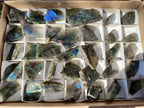 Polished One Side Labradorite Slices x 35 From Madagascar - Toprock Gemstones and Minerals 