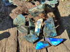 Polished One Side Labradorite Slices x 35 From Madagascar - Toprock Gemstones and Minerals 