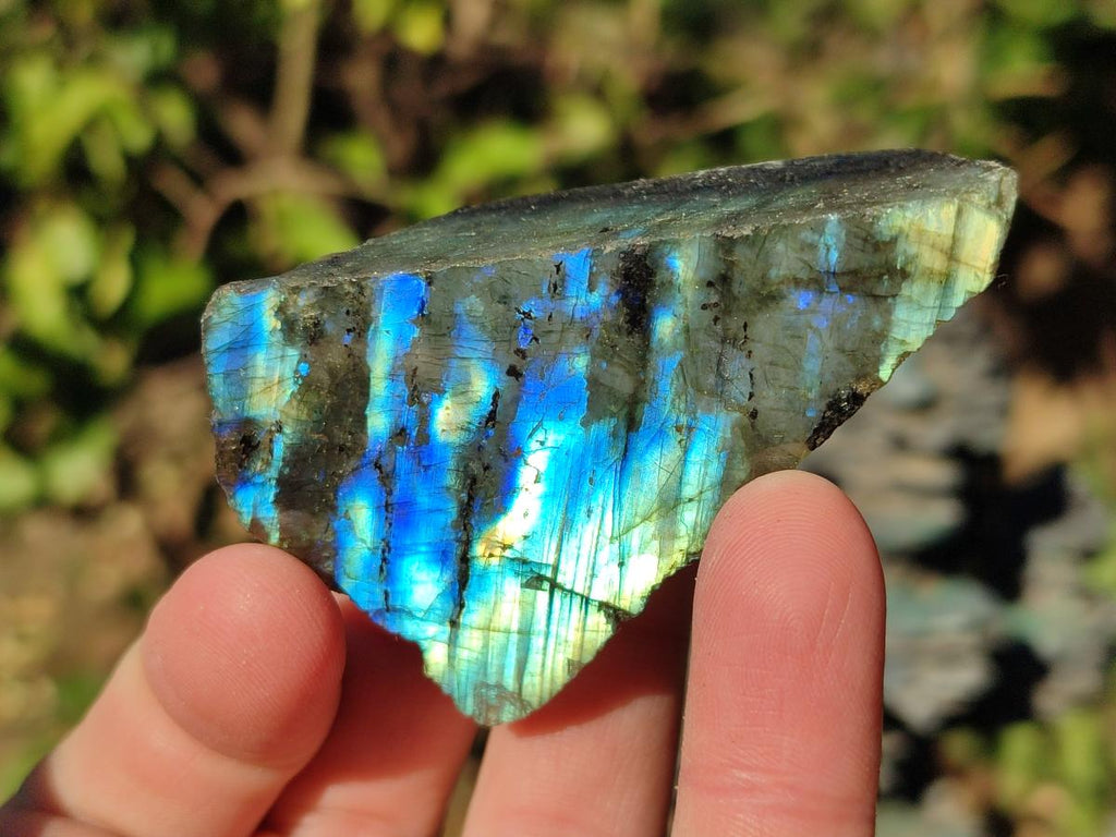 Polished One Side Labradorite Slices x 35 From Madagascar - Toprock Gemstones and Minerals 