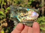 Polished One Side Labradorite Slices x 35 From Madagascar - Toprock Gemstones and Minerals 