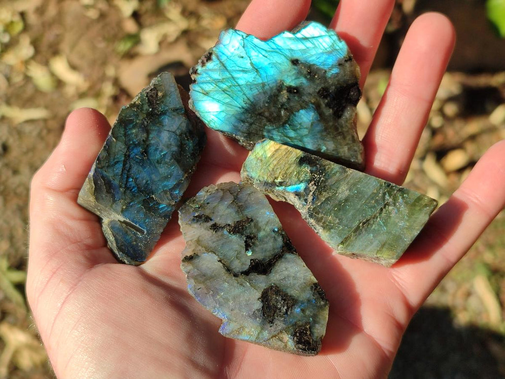 Polished One Side Labradorite Slices x 35 From Madagascar - Toprock Gemstones and Minerals 