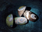 Polished Septerye Mushrooms x 4 From Mahajanga, Madagascar - Toprock Gemstones and Minerals 