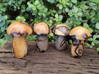 Polished Septerye Mushrooms x 4 From Mahajanga, Madagascar - Toprock Gemstones and Minerals 