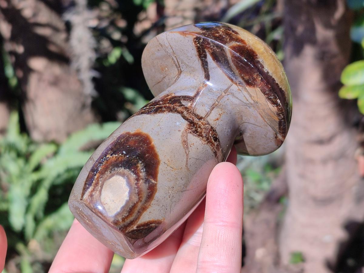 Polished Septerye Mushrooms x 4 From Mahajanga, Madagascar - Toprock Gemstones and Minerals 