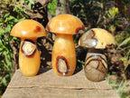 Polished Septerye Mushrooms x 4 From Mahajanga, Madagascar - Toprock Gemstones and Minerals 