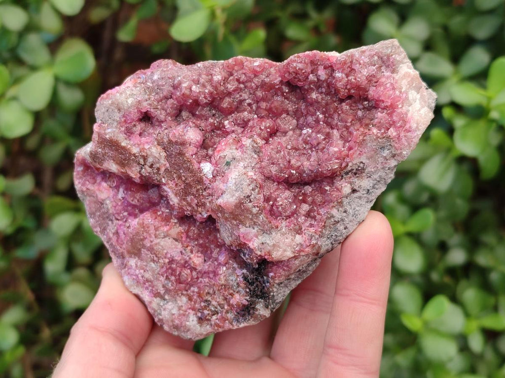Natural Cabinet Sized Spherocobaltite Specimens x 2 From Musonoi Mine, Congo - Toprock Gemstones and Minerals 