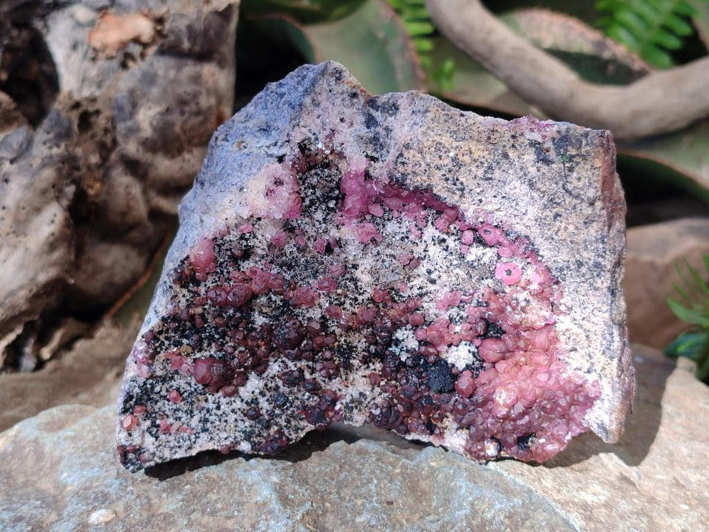 Natural Cabinet Sized Spherocobaltite Specimens x 2 From Musonoi Mine, Congo - Toprock Gemstones and Minerals 