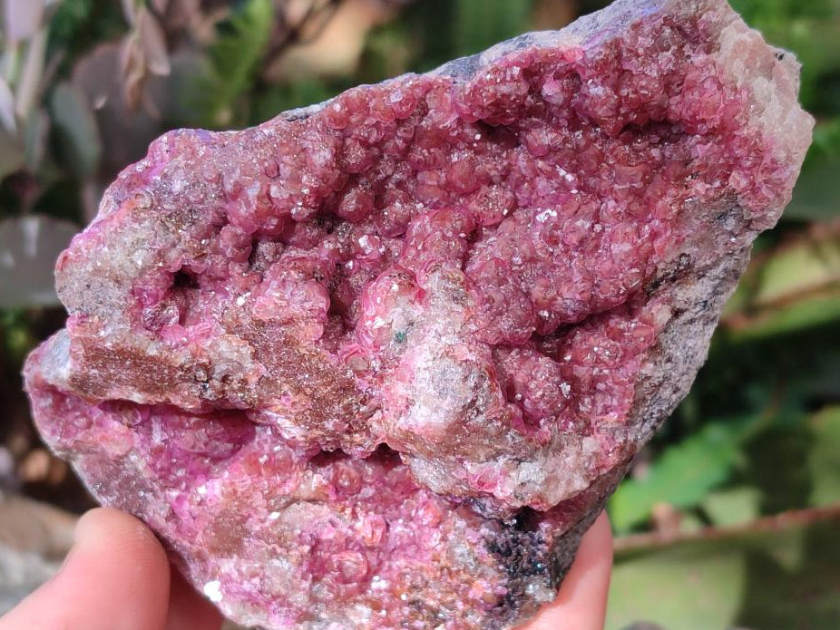 Natural Cabinet Sized Spherocobaltite Specimens x 2 From Musonoi Mine, Congo - Toprock Gemstones and Minerals 