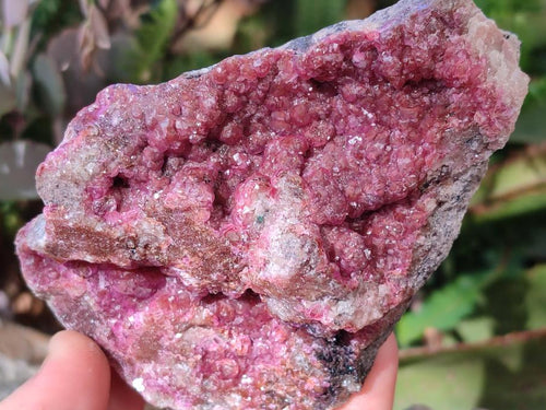Natural Cabinet Sized Spherocobaltite Specimens x 2 From Musonoi Mine, Congo - Toprock Gemstones and Minerals 