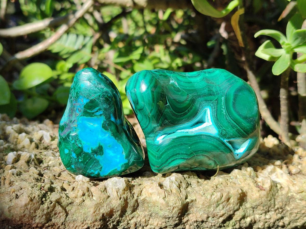 Polished Malacolla Free Forms x 6 From Kulukuluku, Congo - Toprock Gemstones and Minerals 
