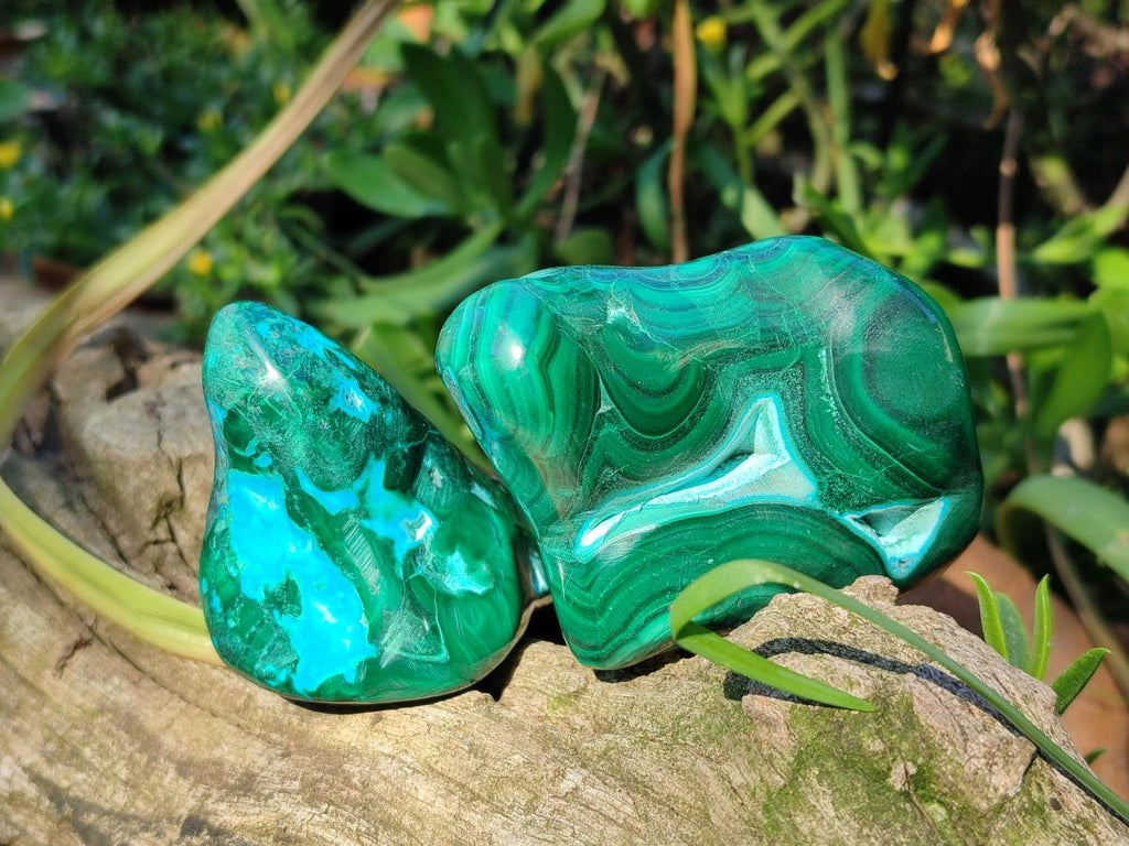 Polished Malacolla Free Forms x 6 From Kulukuluku, Congo - Toprock Gemstones and Minerals 