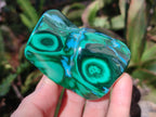 Polished Malacolla Free Forms x 6 From Kulukuluku, Congo - Toprock Gemstones and Minerals 
