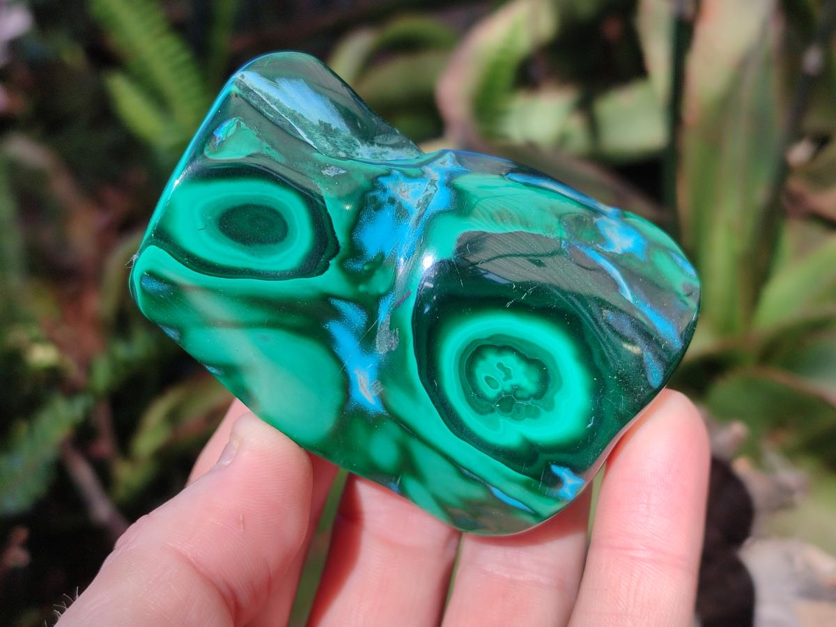 Polished Malacolla Free Forms x 6 From Kulukuluku, Congo - Toprock Gemstones and Minerals 