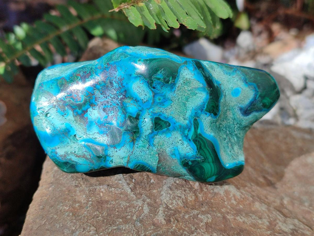 Polished Malacolla Free Forms x 6 From Kulukuluku, Congo - Toprock Gemstones and Minerals 